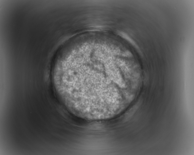 X0000088441259200706191246