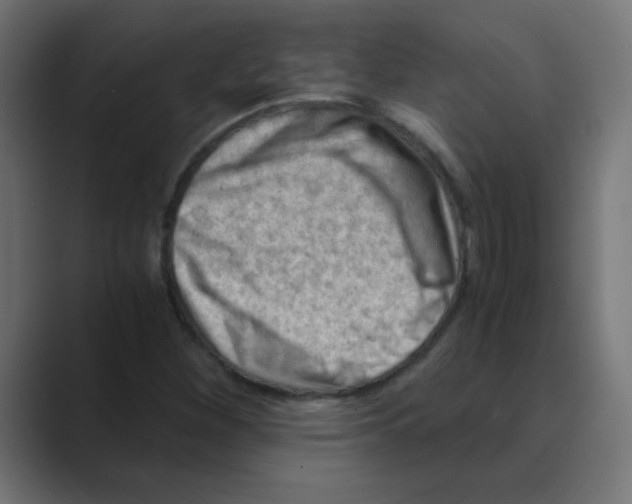 X0000088441260200706191246