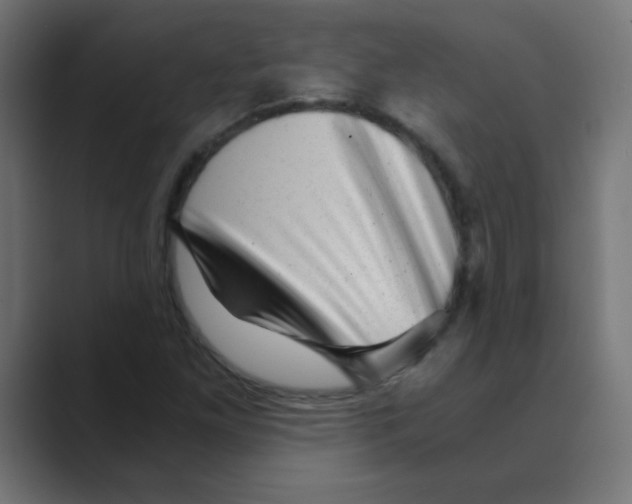 X0000088441261200706191246