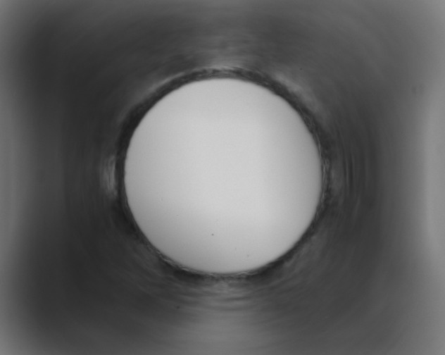 X0000088441262200706191246