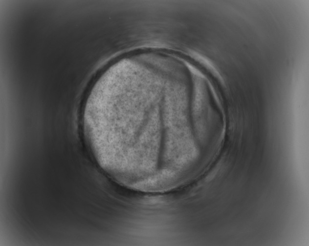 X0000088441264200706191246