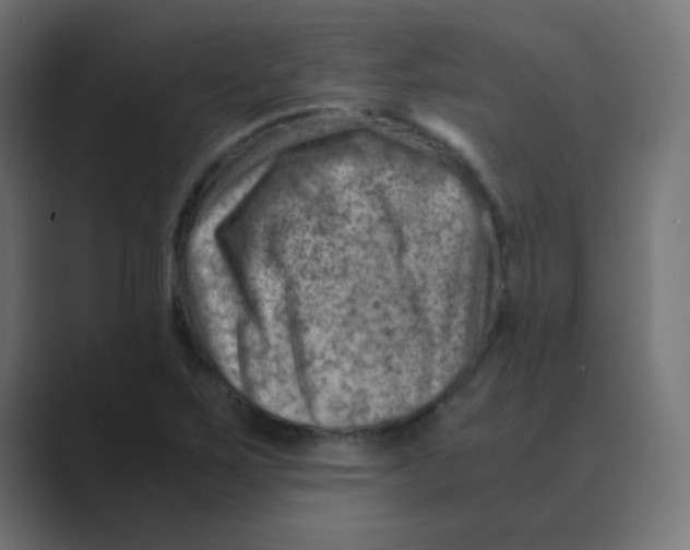 X0000088441267200706191246