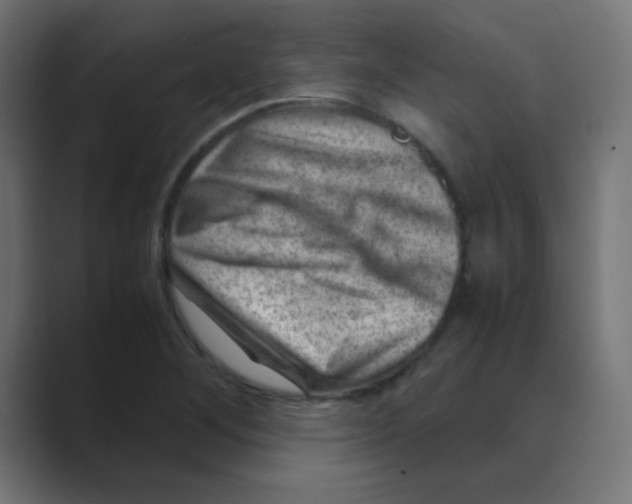 X0000088441268200706191246