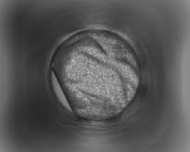 X0000088441271200706191246