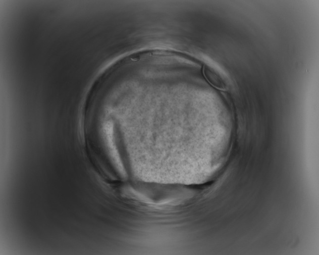 X0000088441272200706191246