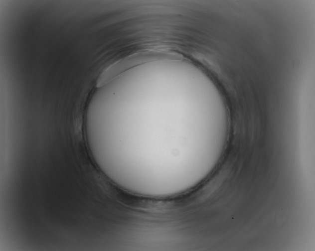 X0000088441273200706191246
