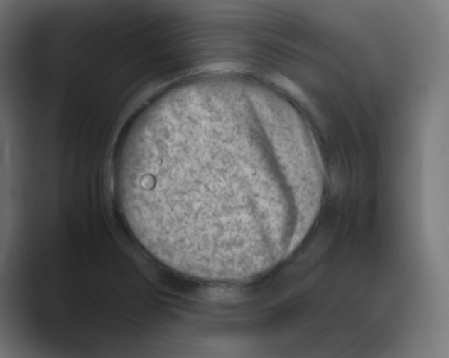X0000088441274200706191246