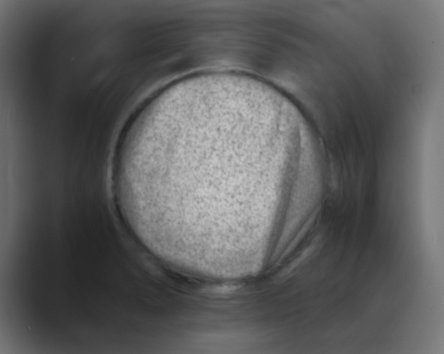 X0000088441278200706191246