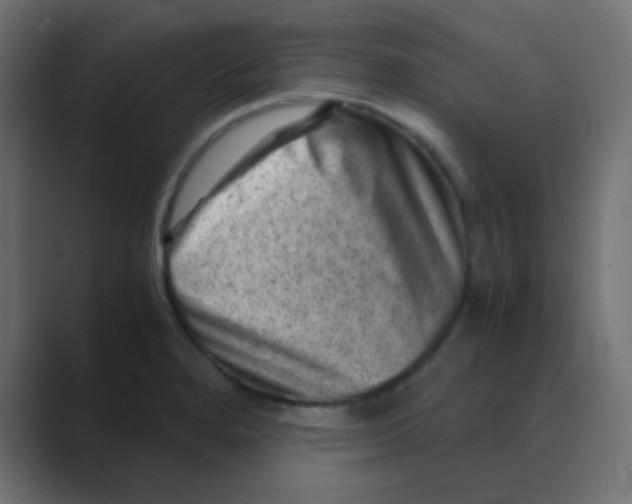 X0000088441280200706191246