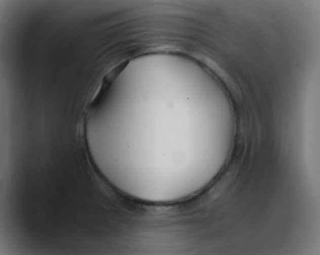 X0000088441281200706191246