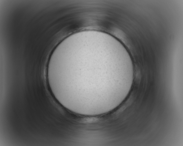 X0000088441282200706191246