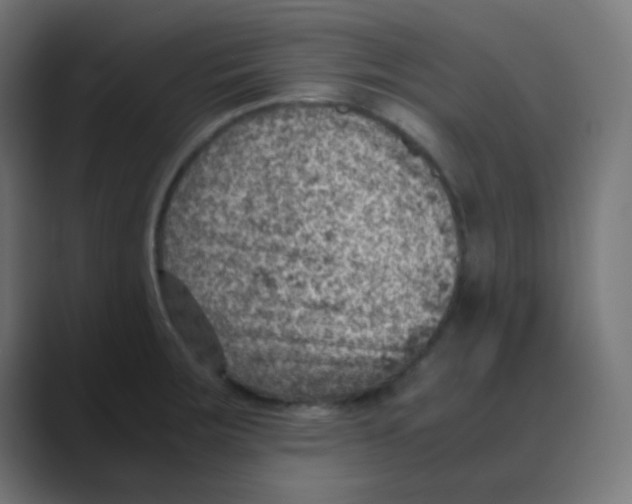 X0000088441283200706191246