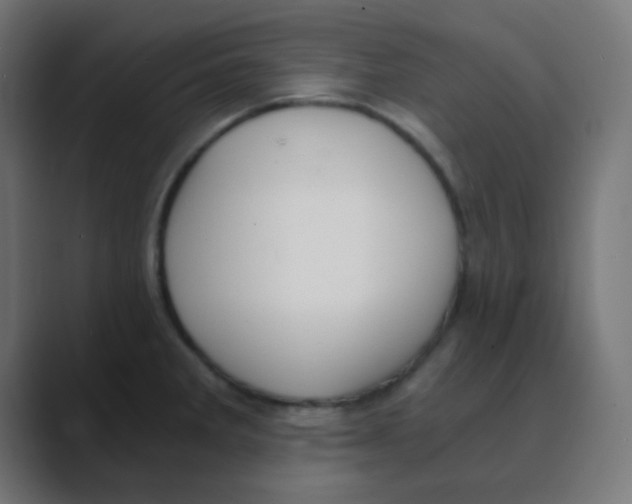 X0000088441285200706191246