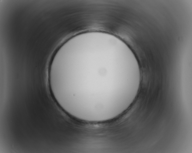 X0000088441286200706191246