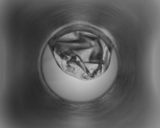 X0000088441287200706191246