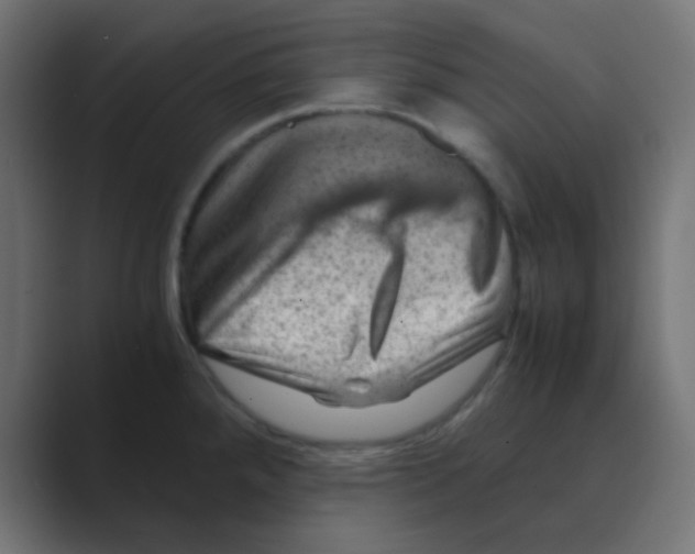 X0000088441288200706191246