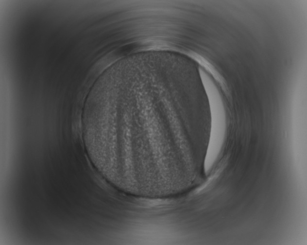 X0000088441289200706191246