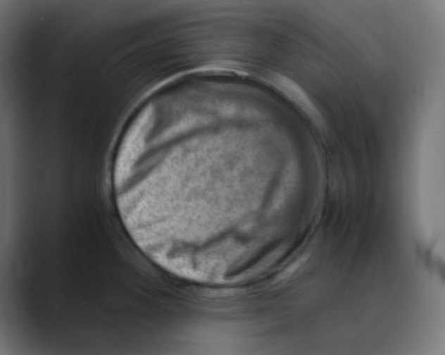X0000088441292200706191246