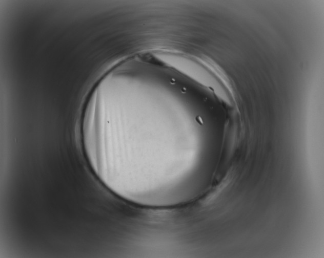 X0000088441293200706191246