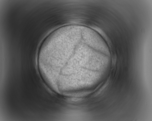 X0000088441294200706191246