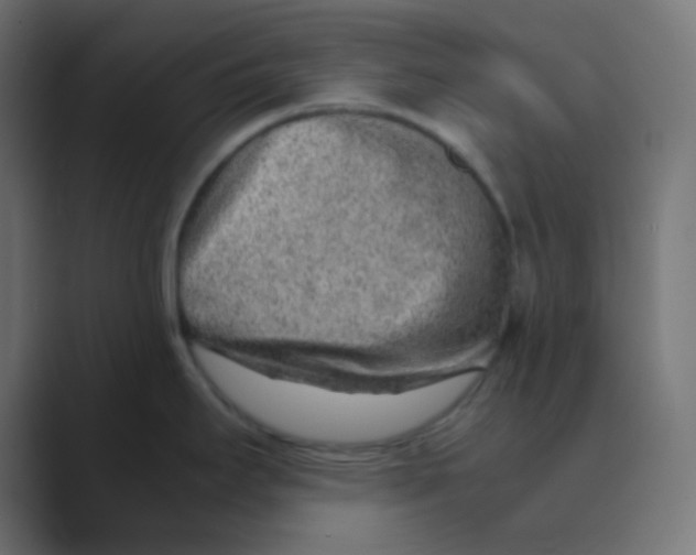 X0000088441295200706191246