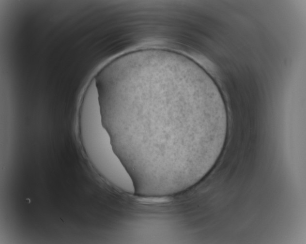X0000088441296200706191246