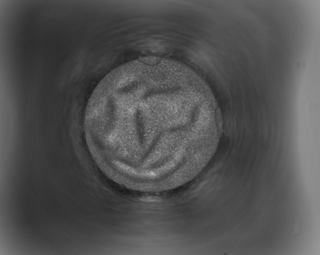 X0000088441297200706191245