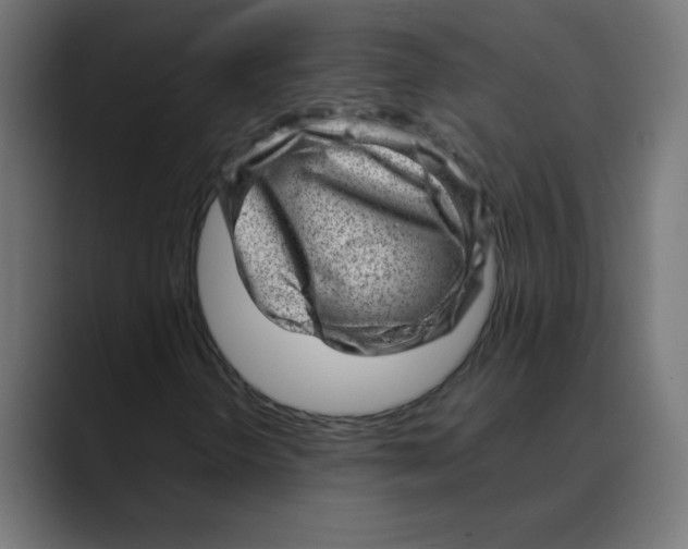 X0000088441298200706191245