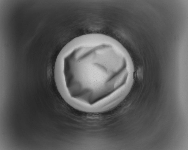 X0000088441299200706191245