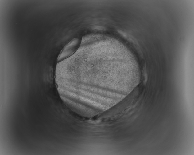 X0000088441301200706191245