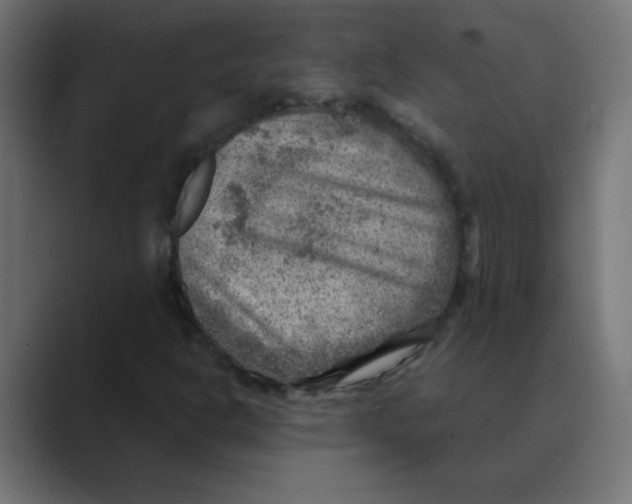 X0000088441302200706191245