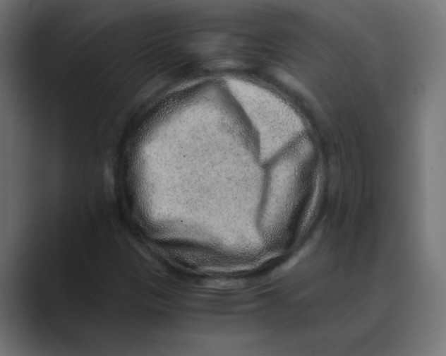 X0000088441305200706191245