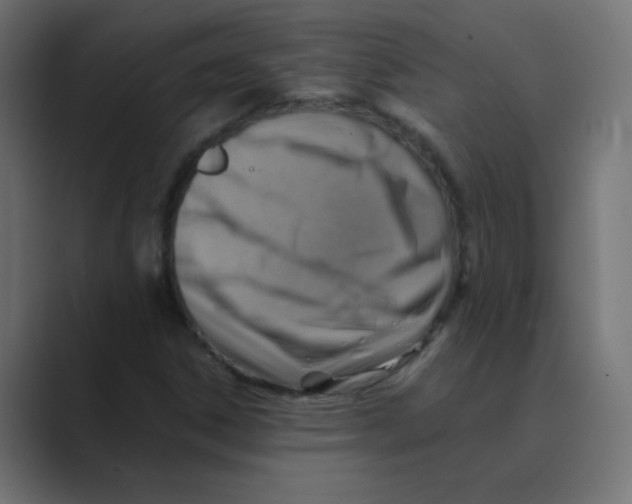 X0000088441306200706191245