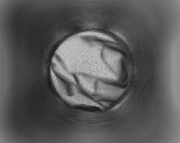 X0000088441309200706191245