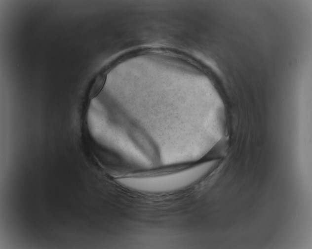 X0000088441311200706191245