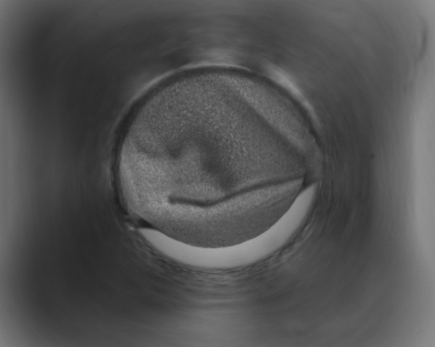 X0000088441312200706191245