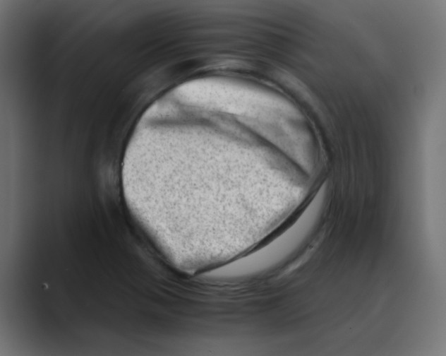 X0000088441321200706191245
