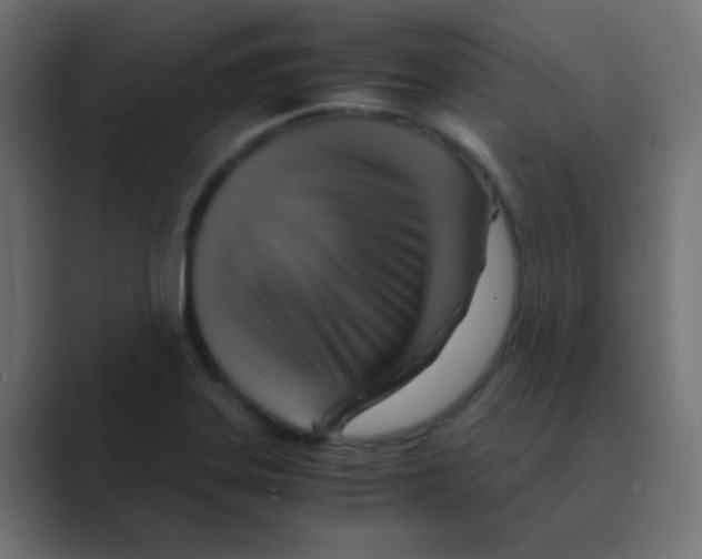X0000088441323200706191245