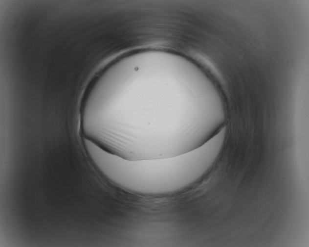 X0000088441324200706191245