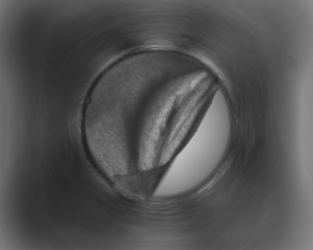 X0000088441325200706191245
