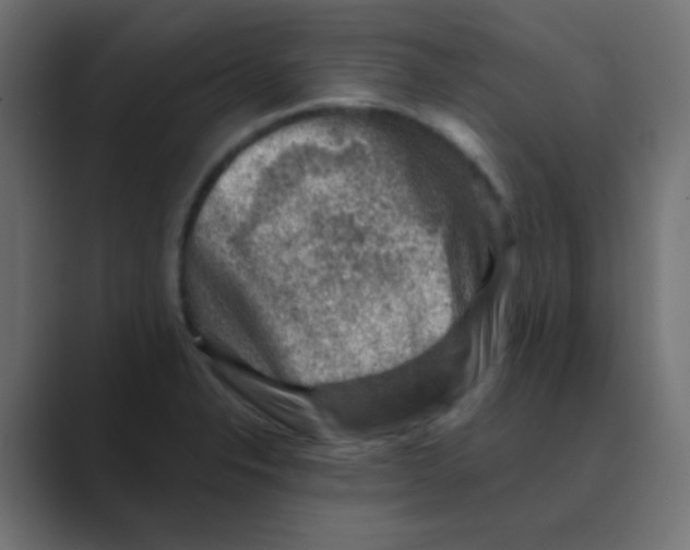 X0000088441326200706191245