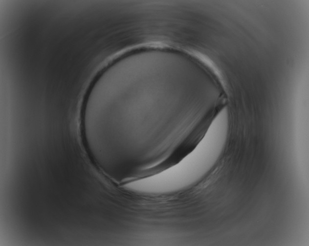 X0000088441327200706191245