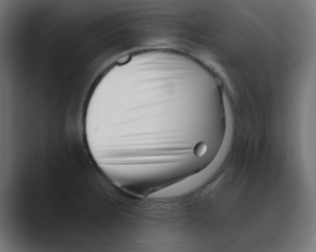 X0000088441328200706191245