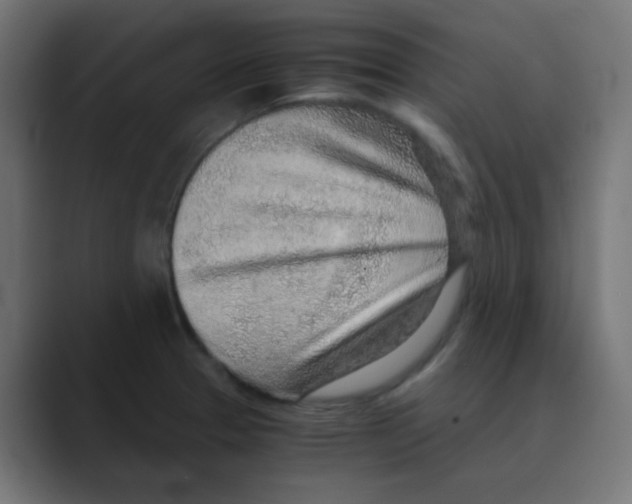 X0000088441329200706191246