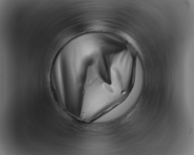 X0000088441330200706191246