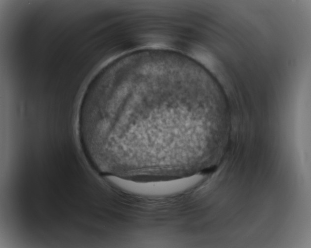 X0000088441331200706191246