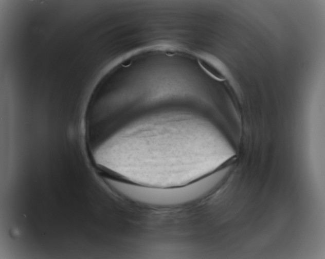 X0000088441335200706191246