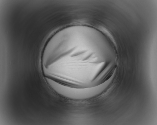X0000088441336200706191246