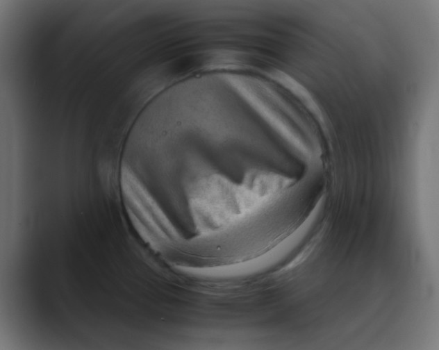 X0000088441337200706191246