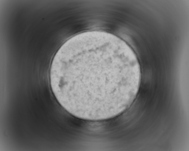 X0000088441338200706191246